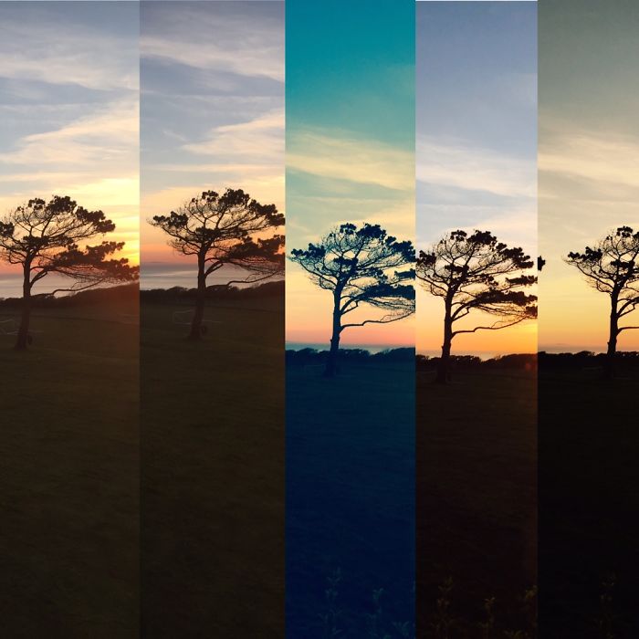 Chale Views Isle Of Wight