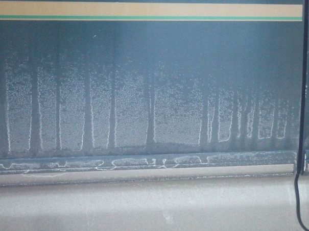 Forest On The Side Of My Van Created By Dust And Rain