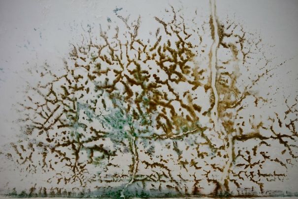 Mold In The Form Of A Tree