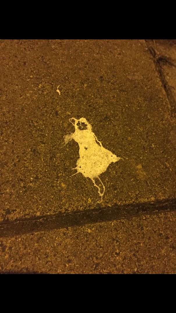 Bird Poo Created Lady In Dress