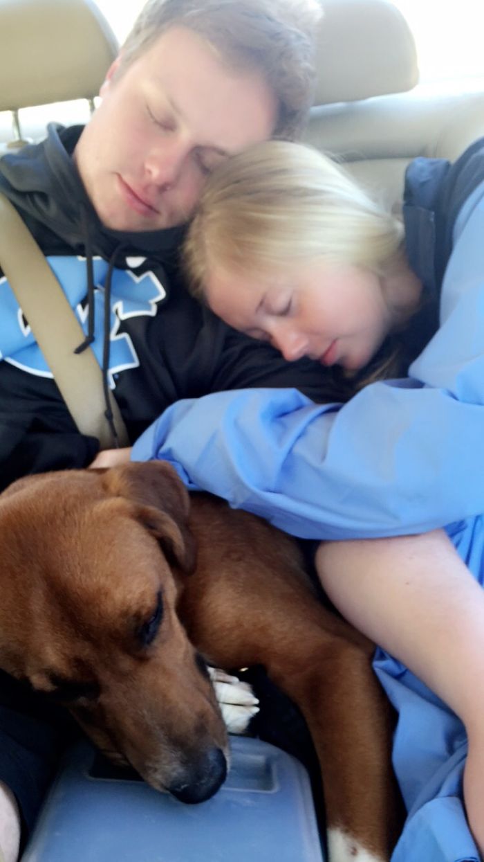 Frat Dog's Social Life At Unc