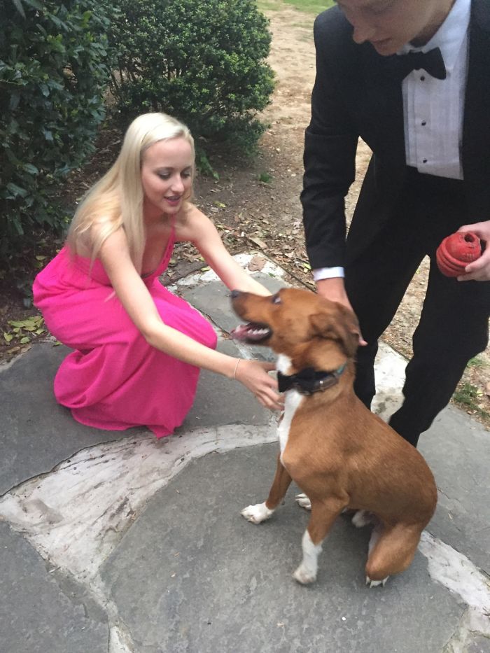 Frat Dog's Social Life At Unc
