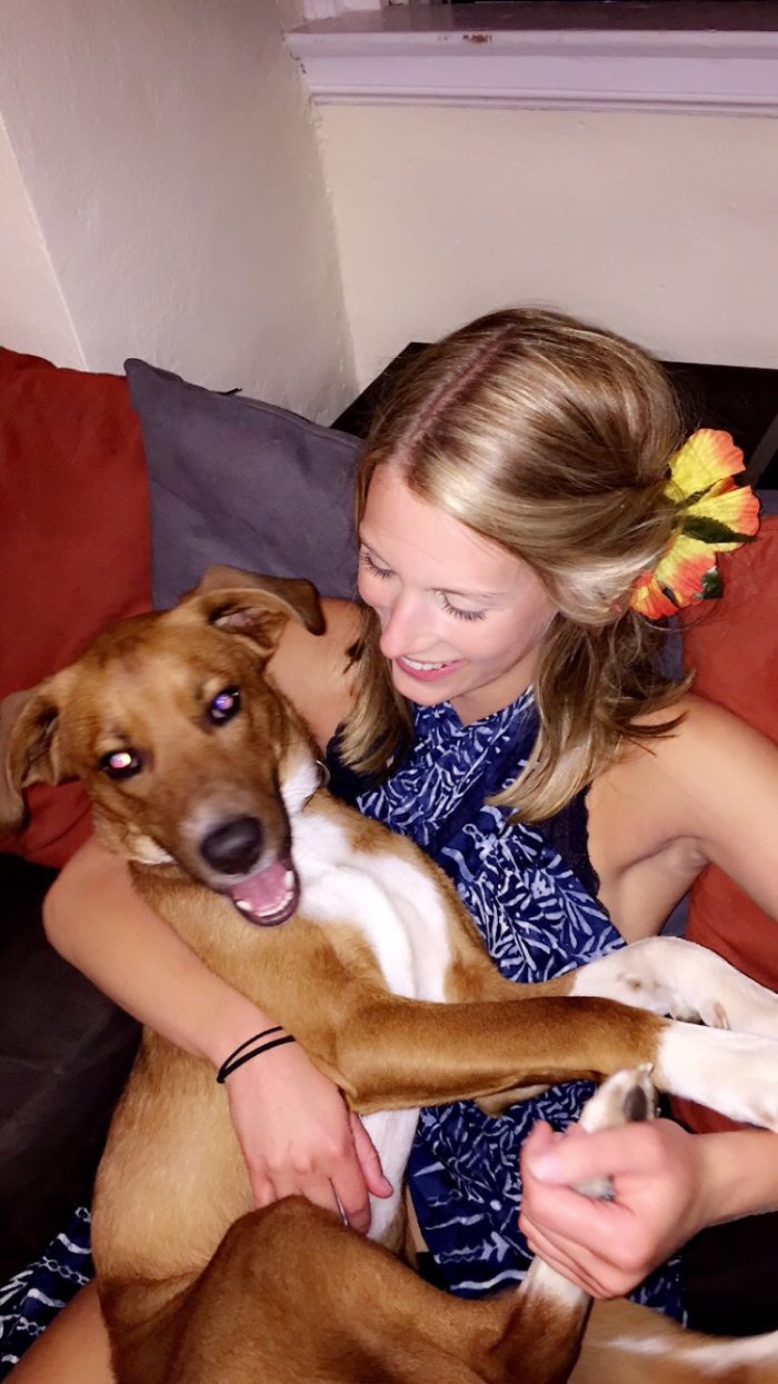 Frat Dog's Social Life At Unc