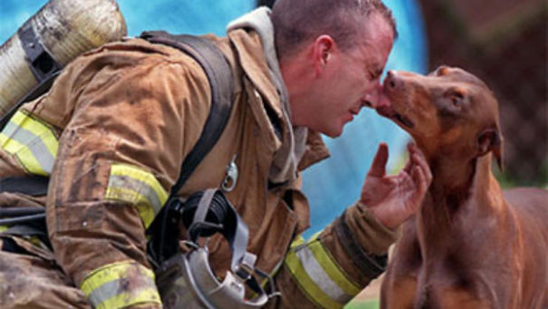 Firefighter Jeff Clark Gets The Lick Of Thanks From A Dog (additionally She Was Pregnant)