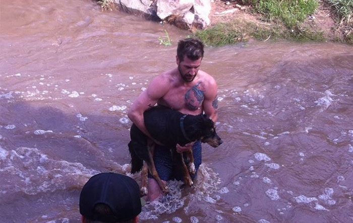 Stranger Undresses And Jumps Into Cold River To Save Drowning 13-Year-Old Dog