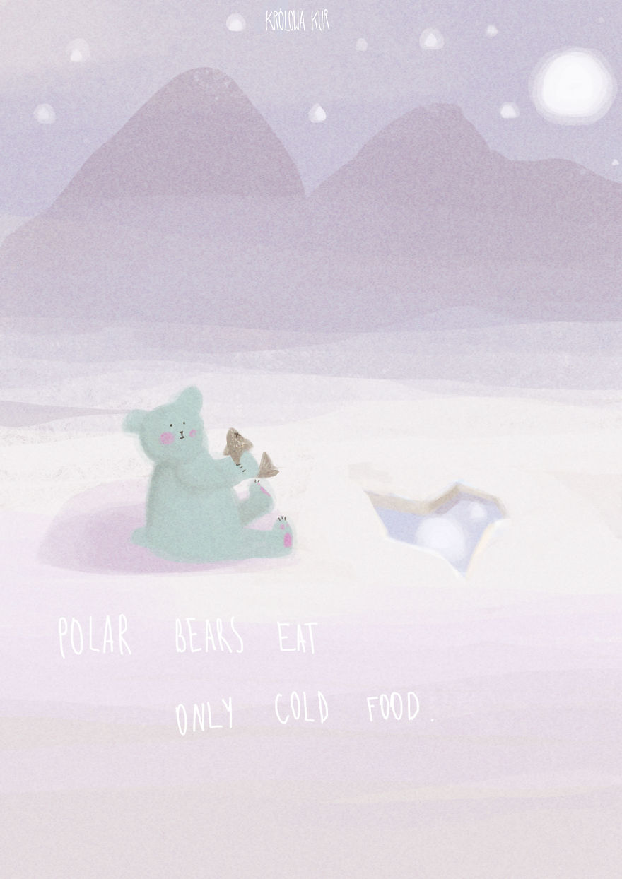 7 Illustrations That Reveal The Truth About Polar Bears