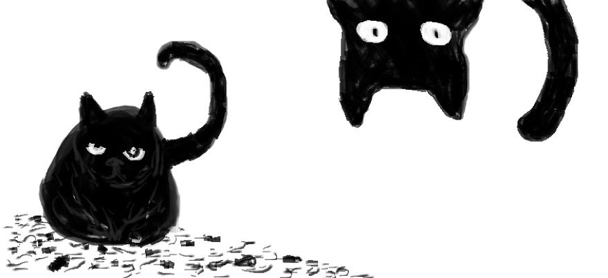 I Used Paint From Microsoft To Draw