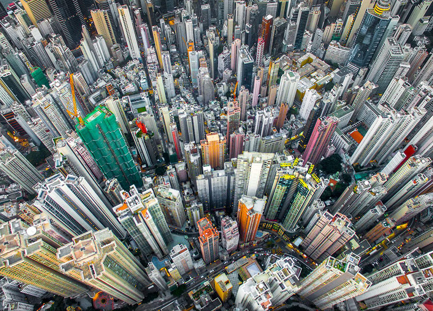 Urban Jungle, Hong Kong, China