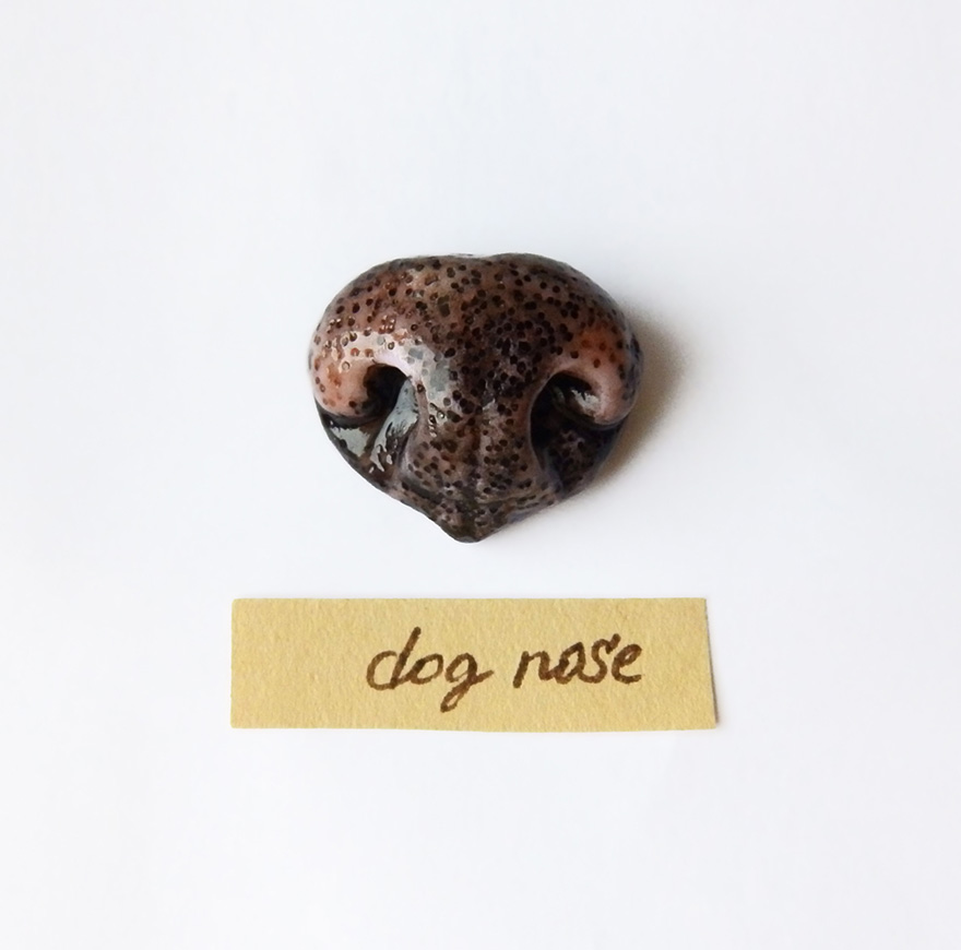 Animal Nose Jewelry That We Made For Pet Lovers