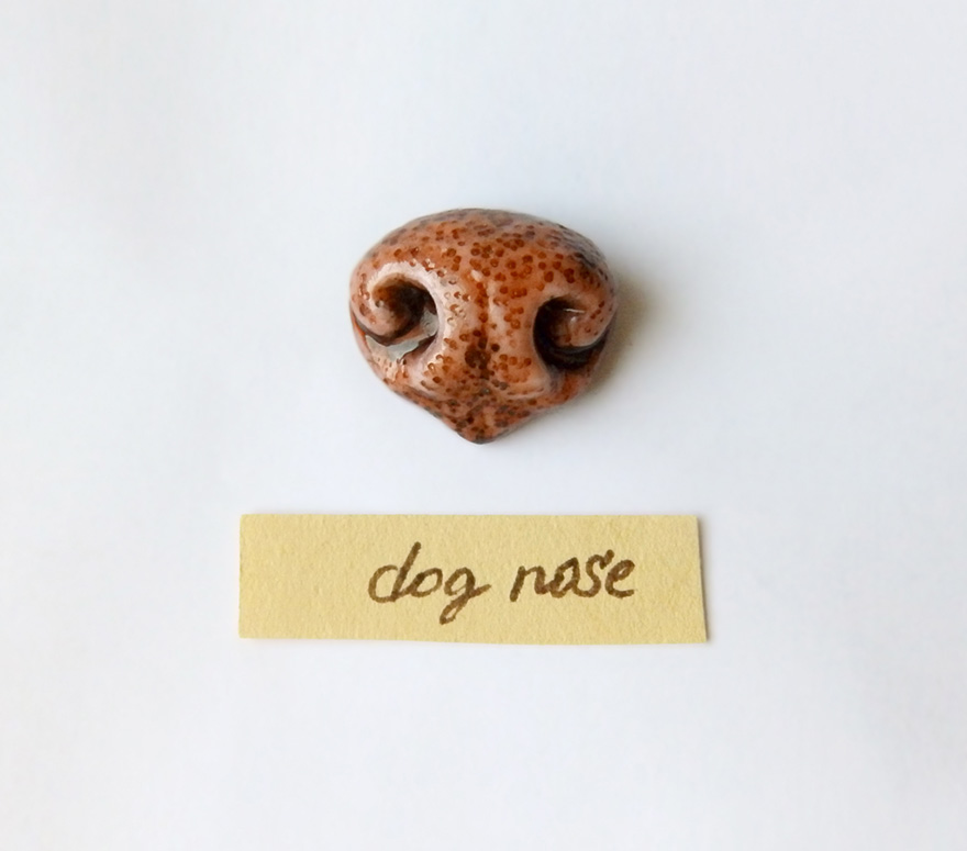 Animal Nose Jewelry That We Made For Pet Lovers