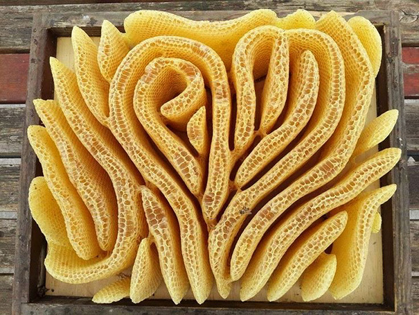 Beautiful Honeycomb