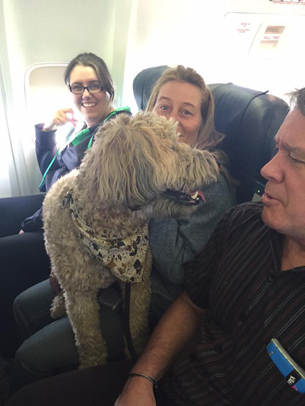 Airlines Break Their Own Rules So Pets Can Escape Fires