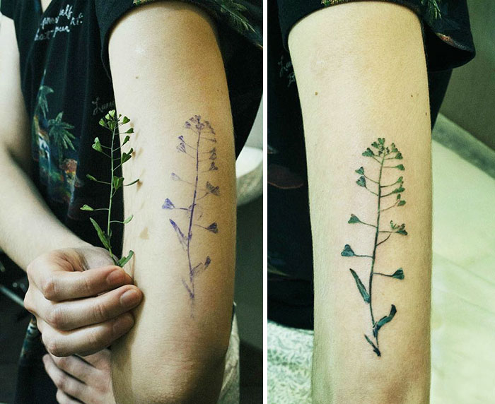 plant-tattoos-leaves-flora-botanical-fingerprint-rit-kit-rita-zolotukhina-5