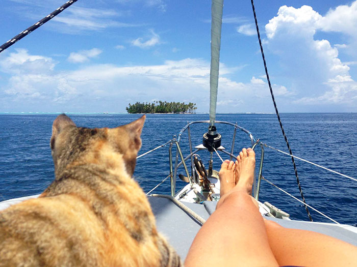 sailing-cat-travelling-world-liz-clark-20