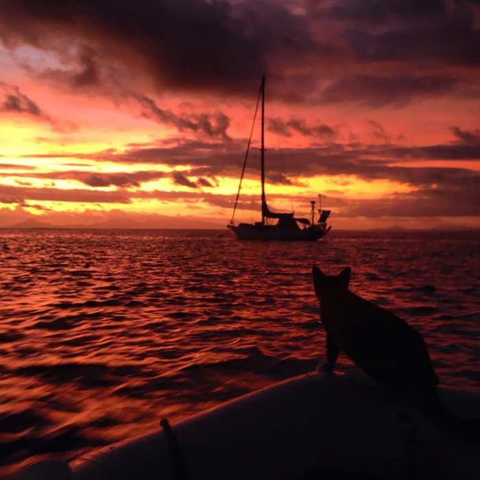 sailing-cat-travelling-world-liz-clark-45