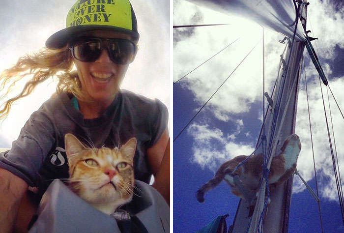 sailing-cat-travelling-world-liz-clark-52