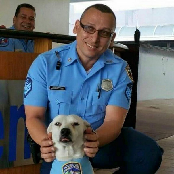 stray-dog-adopted-police-gorgi-bayamon-puerto-rico-17