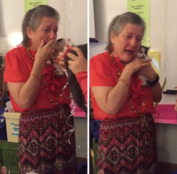 Teacher Lost Her 16 y/o Cat, So Her Students Surprised Her With 2 Rescue Kittens