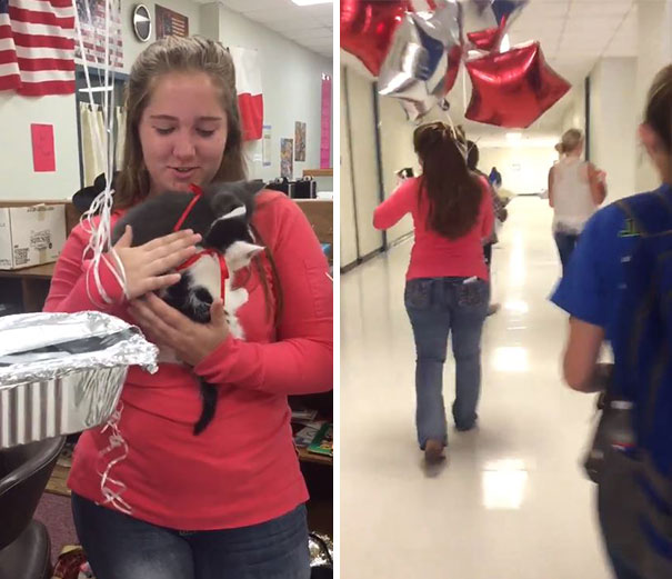 Teacher Lost Her 16 y/o Cat, So Her Students Surprised Her With 2 Rescue Kittens