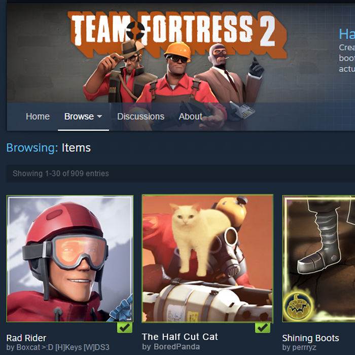 Already A Team Fortress 2 Hat