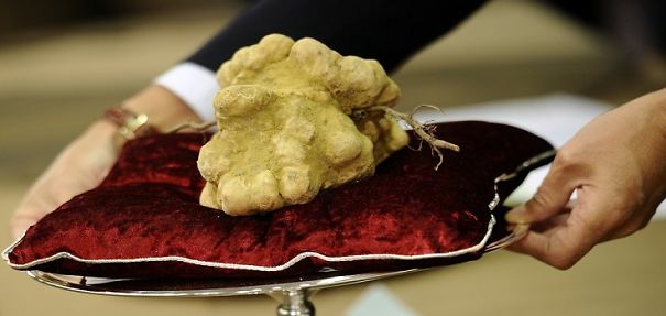 The Top 10 Most Expensive Food In The World