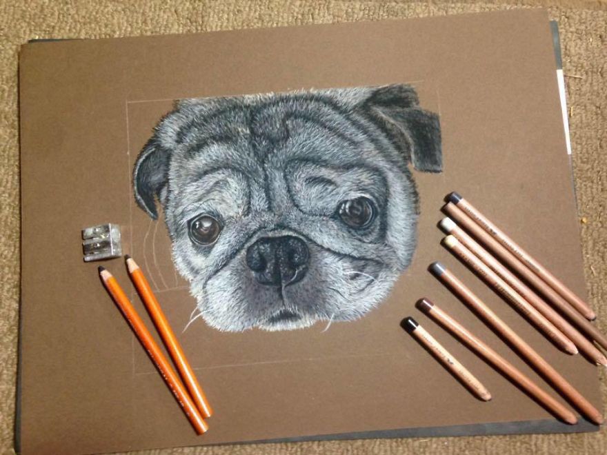 I Draw Animals Using Charcoal And Pastel