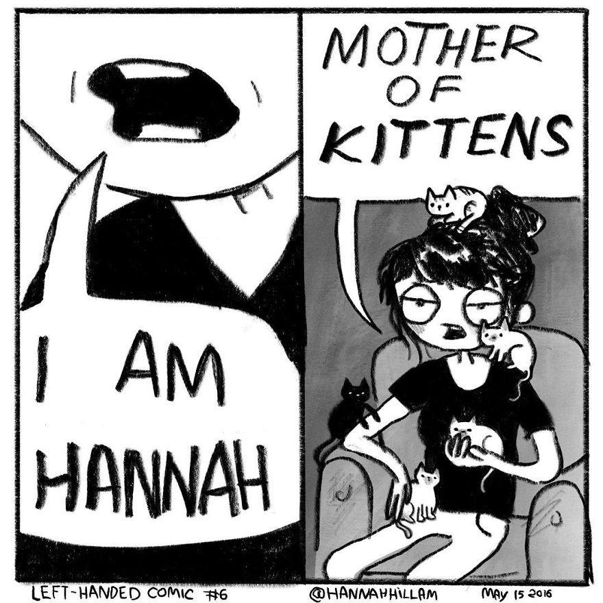 Modern-cat-lady-comics-hannah-hillam