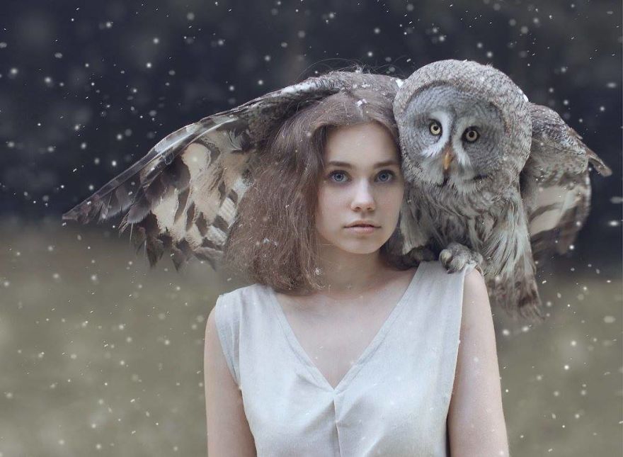 Today I Think I`m An Owl