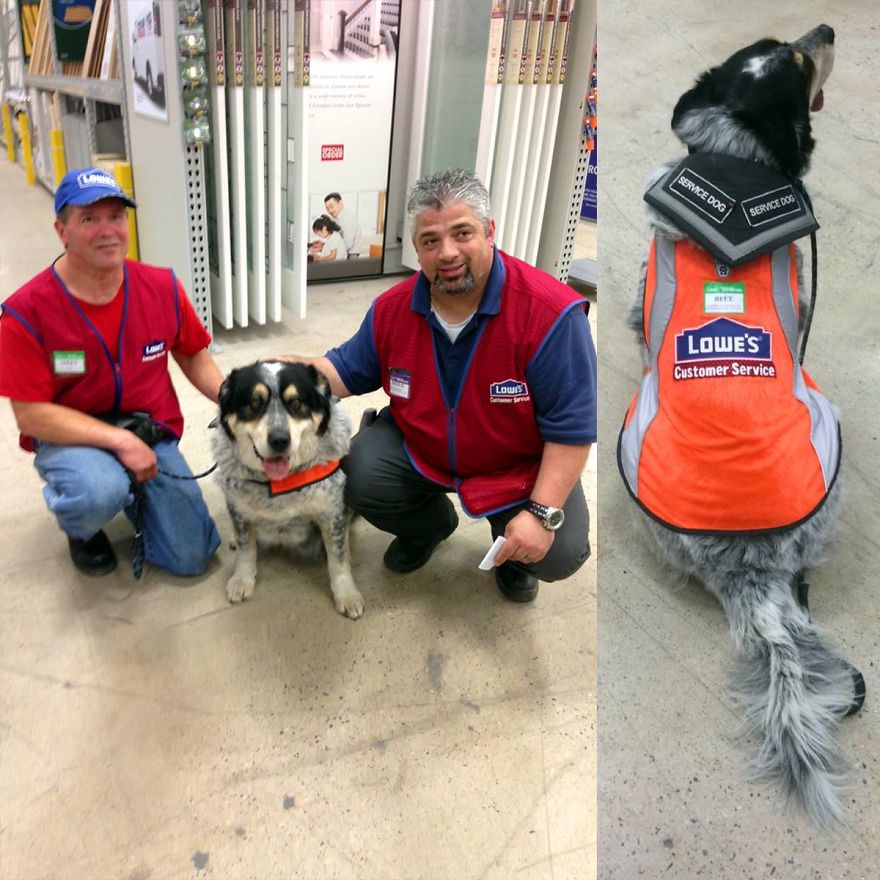 Lowes Hires Man And His Service Dog