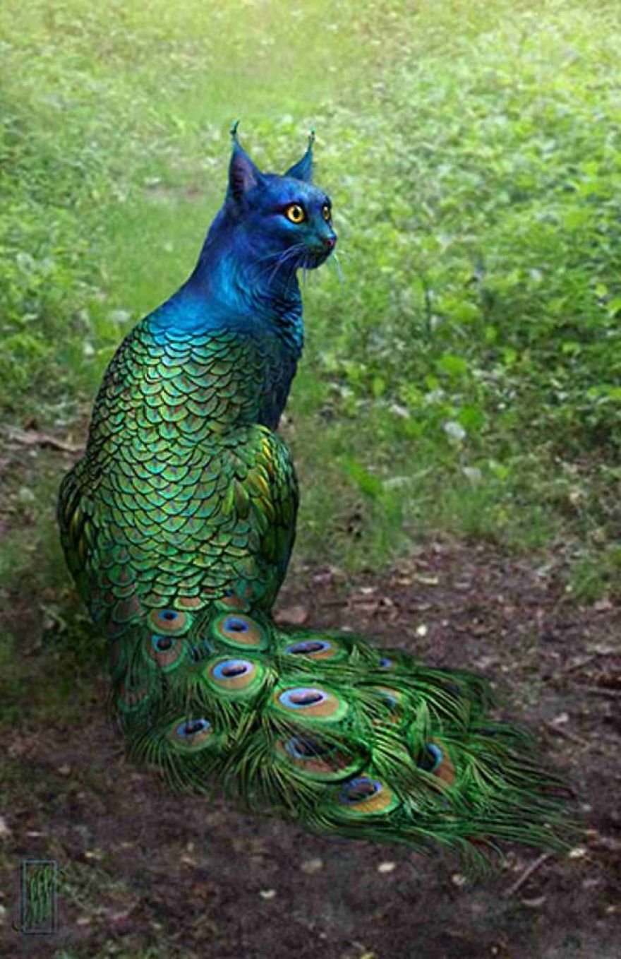 Photoshopped Animal Hybrids