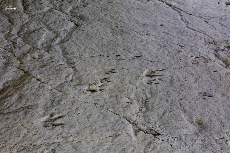 Sataplia Managed Reserve