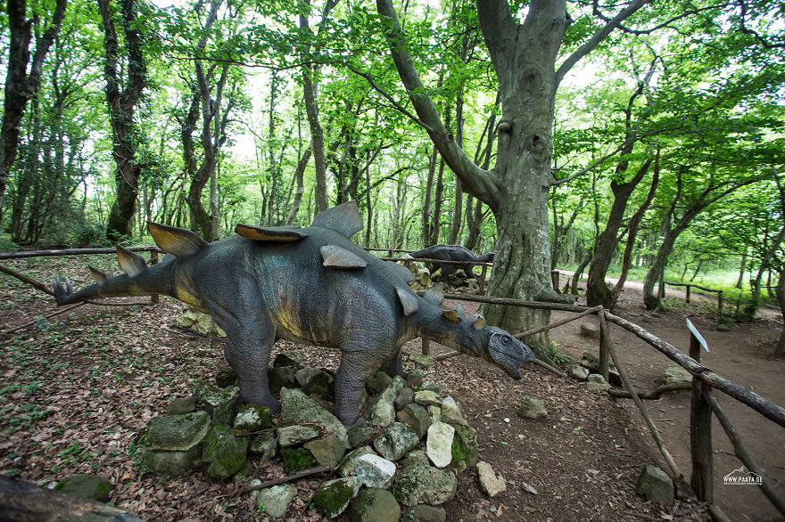 Sataplia Managed Reserve