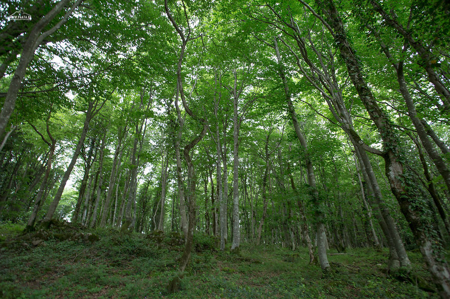 Sataplia Managed Reserve