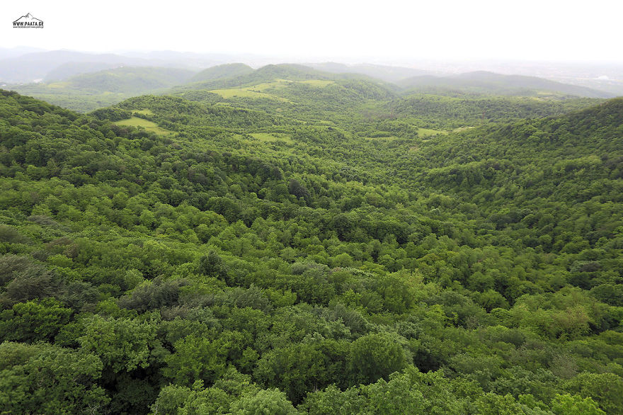 Sataplia Managed Reserve