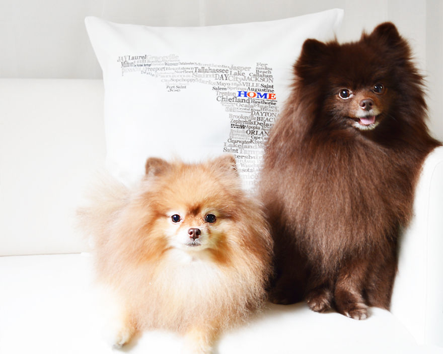 Meet Coala And Cawaii, The Two Pomeranian Fluff Balls That Changed My Life