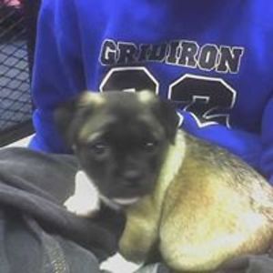 jannettelewis avatar