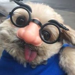 rachelirotner avatar