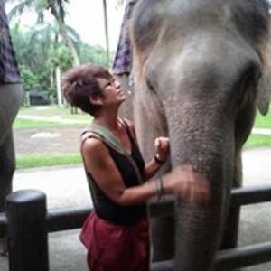 andriafragiacomo avatar