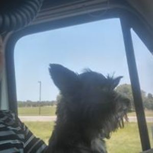 markbollinger1968 avatar