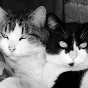 carlos_hdez19 avatar