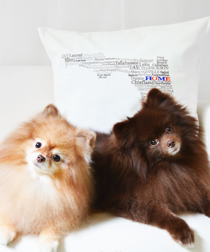 Meet Coala And Cawaii, The Two Pomeranian Fluff Balls That Changed My Life