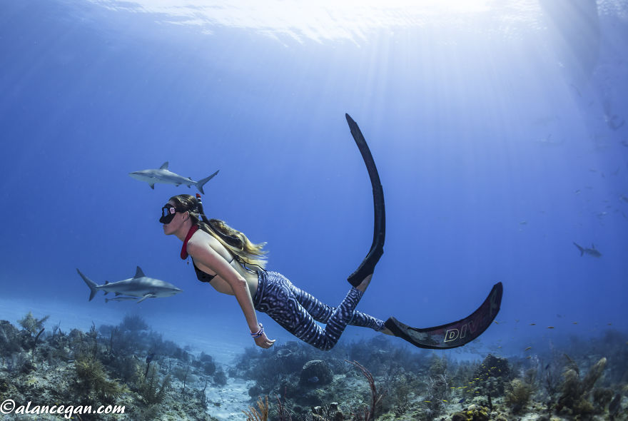 If You Love Finding Dory, Don't Buy A Fish! Get Whale Shark Leggings That Support Science. If You Love Finding Dory, Don't Buy A Fish! Get Whale Shark Leggings That Support Science.