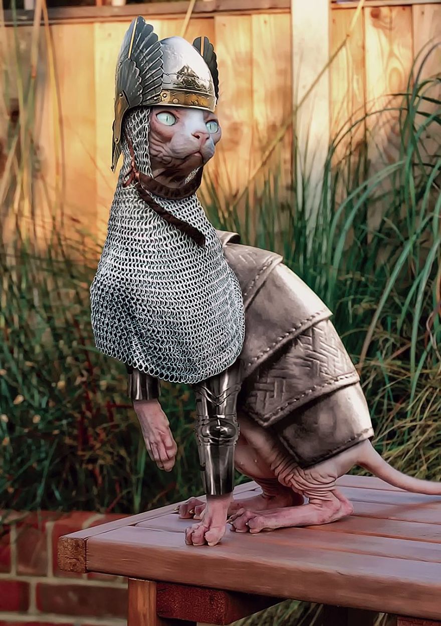 Artists Photoshop Armor On Animals To Bring Awareness To Endangered Species
