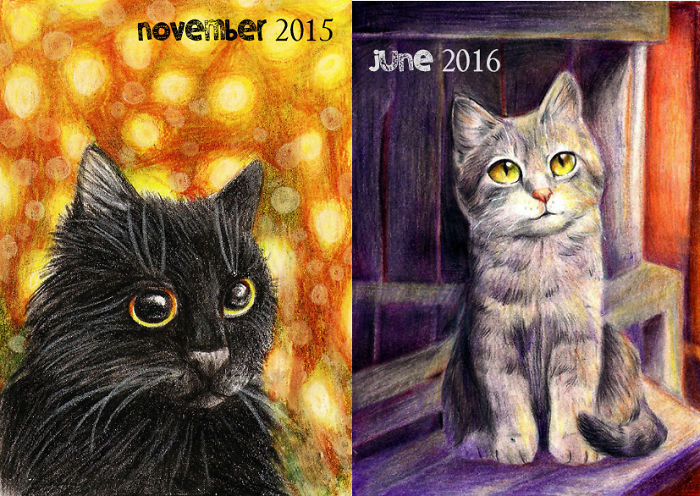 2015 And 2016