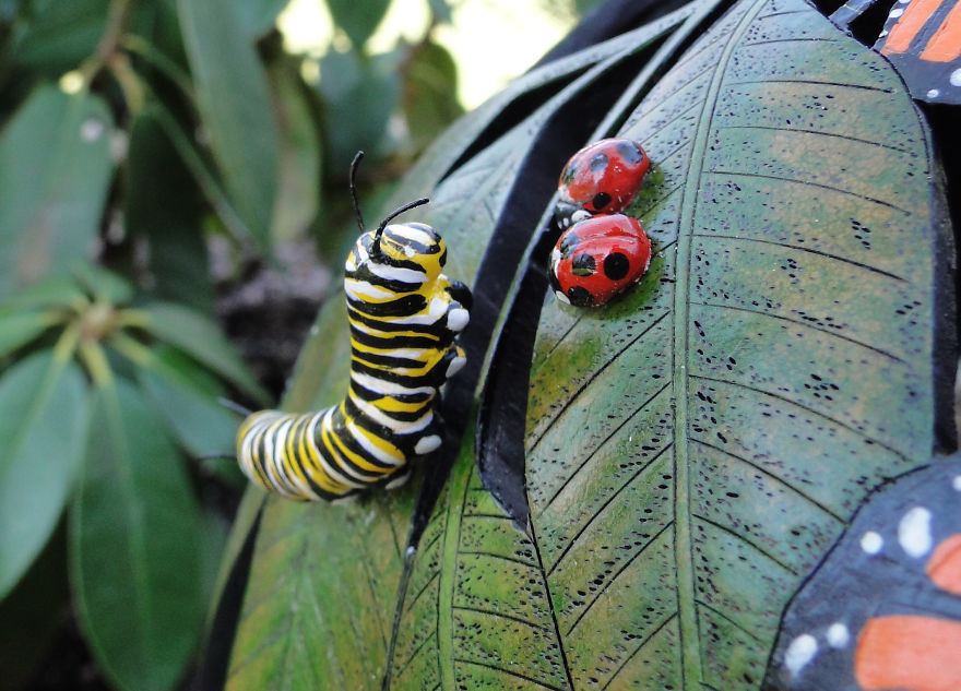 I Carved Monarch Butterflies In Gourd