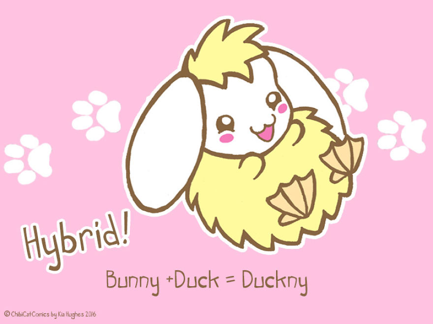 Cute + Awesome = Duckny