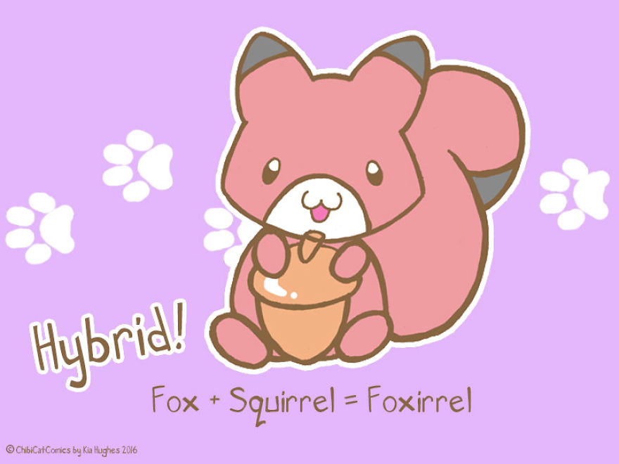 Cute + Awesome = Foxirrel