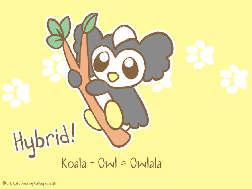 Cute + Awesome = Owlala