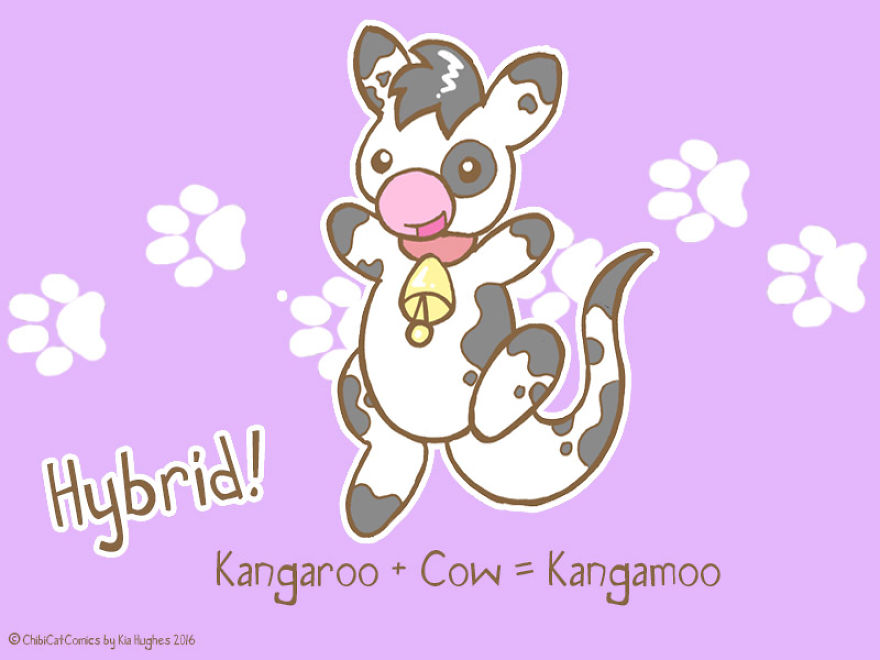 Cute + Awesome = Kangamoo