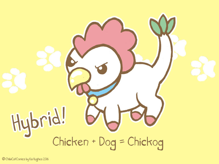 Cute + Awesome = Chickog